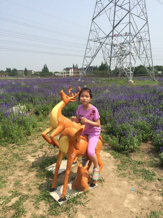 常州薰衣草庄园