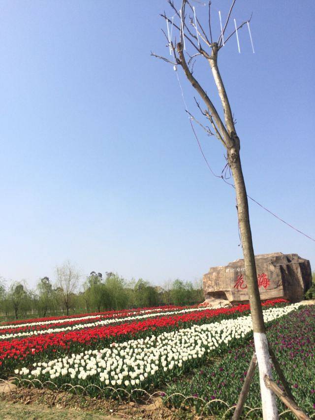 锦绣田园风景区