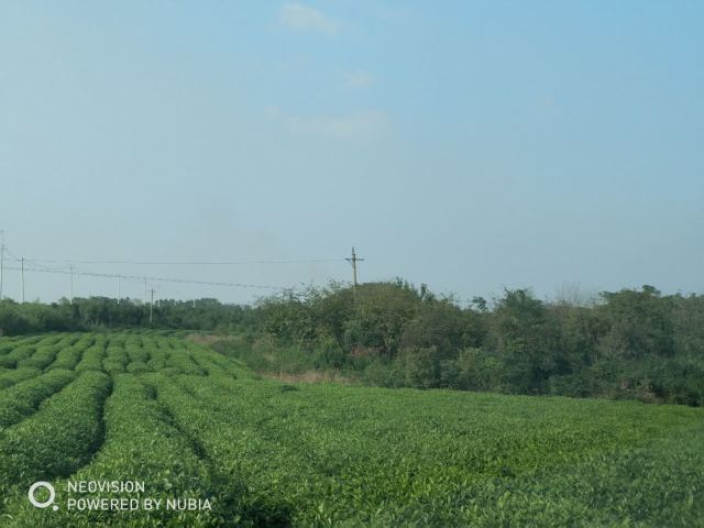 楚天瑶池温泉度假村