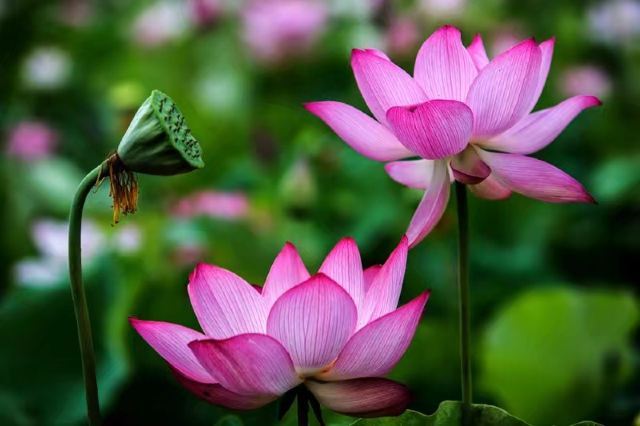 世外桃源风景区