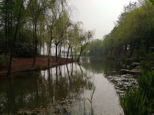 泰州市天德湖公园