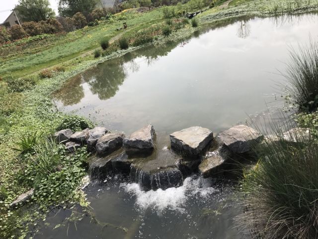 荻浦花海欢乐世界