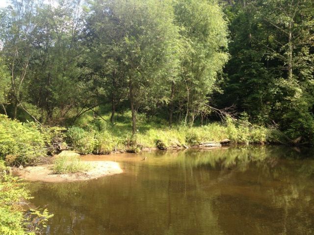 小东沟原始森林