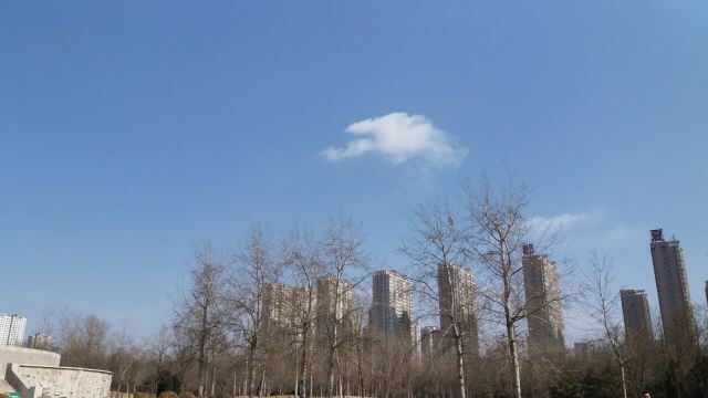 保定植物园滑雪场