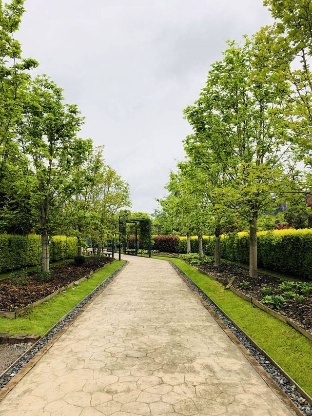 龙虎山花语世界景区