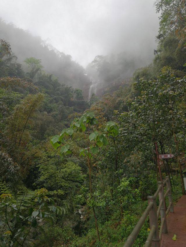 赤水白马溪景区