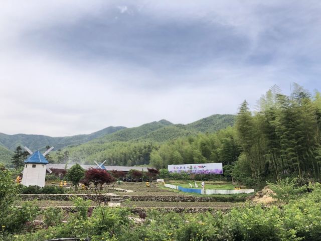 浙东大竹海景区