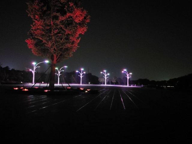 泰州市天德湖公园