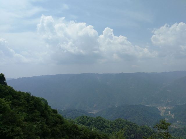 中亚楠木林景区