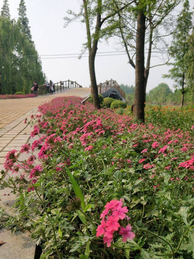 同里国家湿地公园