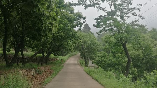 牛山国家森林公园