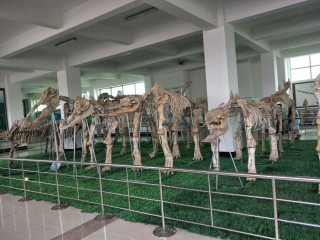 山东省天宇自然博物馆