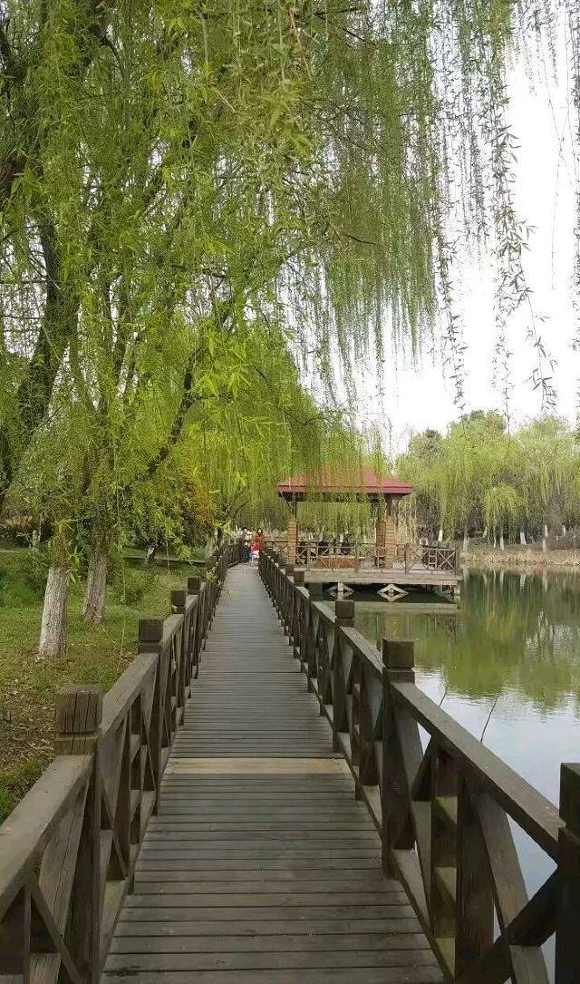 苏州中国花卉植物园