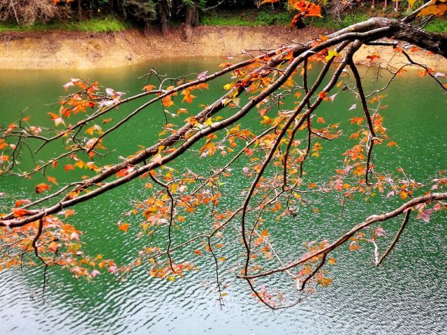 赣州阳明湖景区