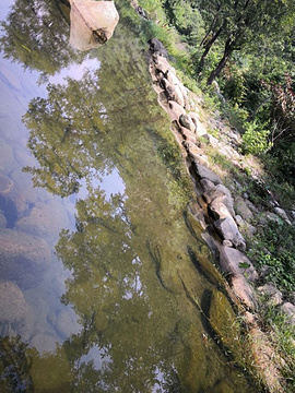 姚家山风景区旅游景点攻略图