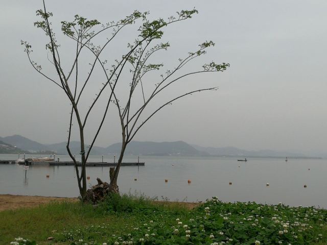 东钱湖随风沙滩