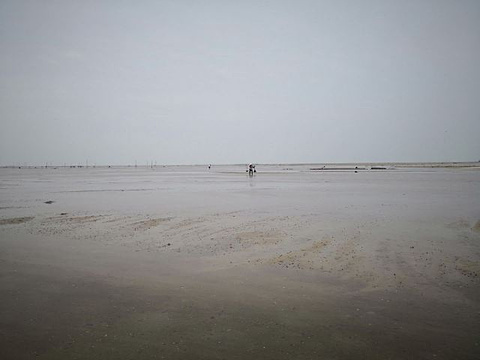 红树林天天赶海旅游景点攻略图