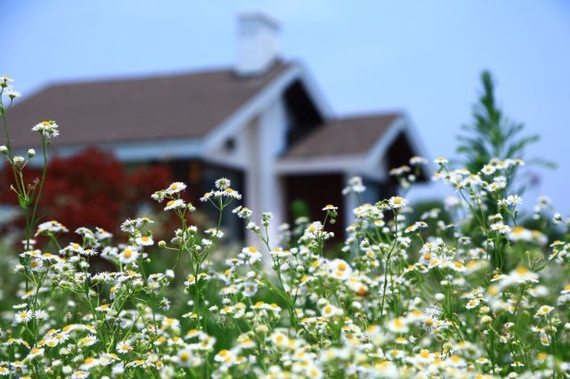 汤山翠谷现代农业示范园