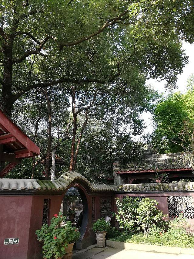 中华蝴蝶生态城