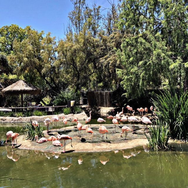 圣地亚哥动物园