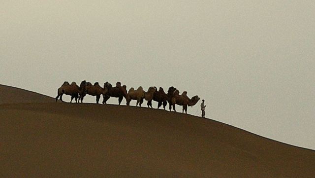 库木塔格沙漠景区-沙山公园