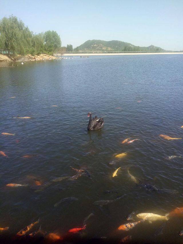 天鹅湖景区