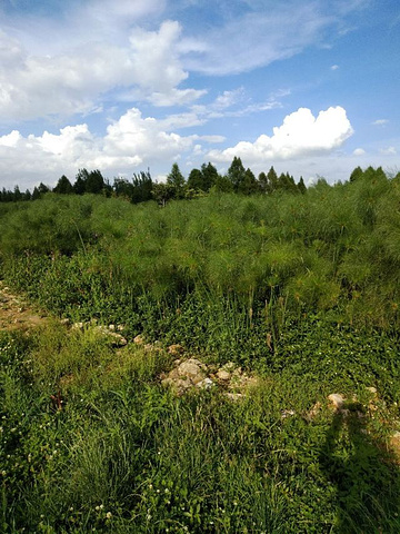 "度假村面积很大的，当然此西湖非彼西湖的，但这儿风景相当的好，湖光山色一样的，因为是度假村，所以..._西湖度假村"的评论图片