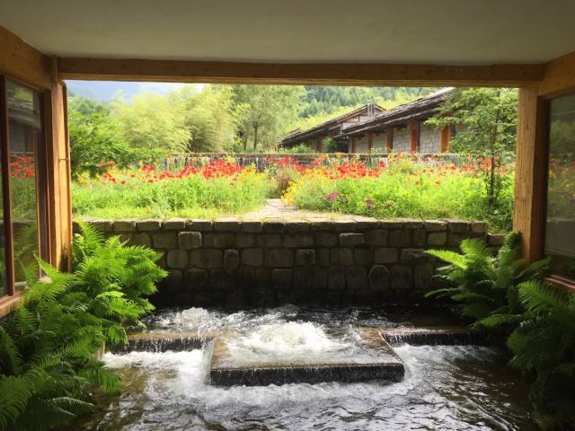 上坝河国家森林公园