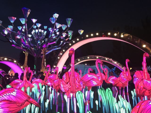 朝阳公园-方舟湖