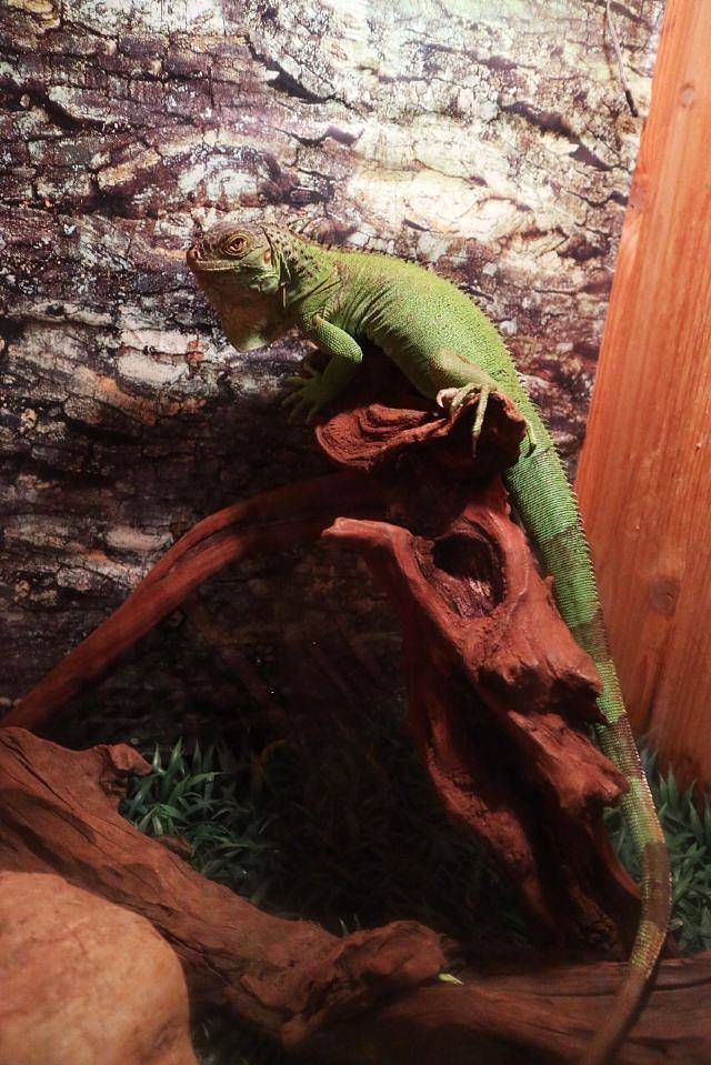 盐城海昌海洋探索馆