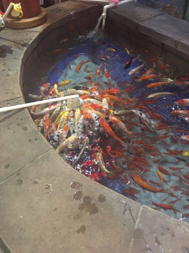 万达乐园(万达茂仙林大道店)