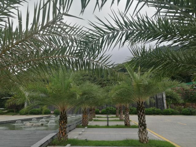 白水寨嘉华温泉