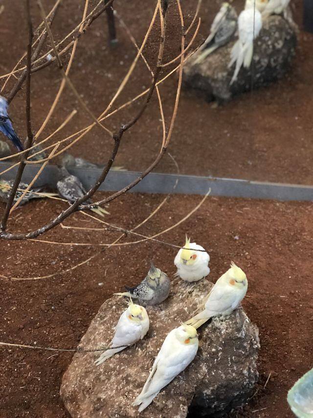 天津zoonly动物主题公园