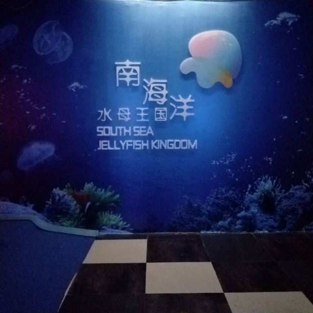 南海洋水母王国