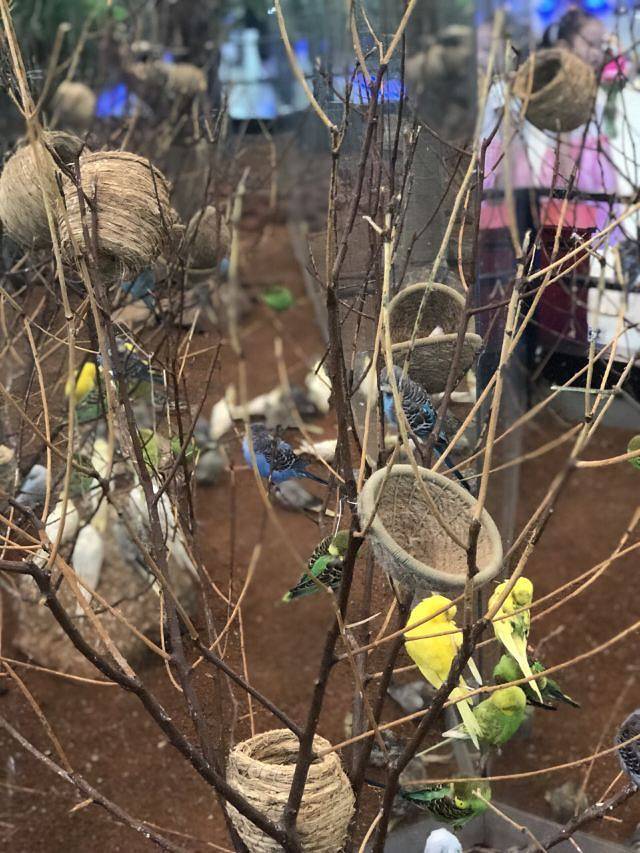 天津zoonly动物主题公园