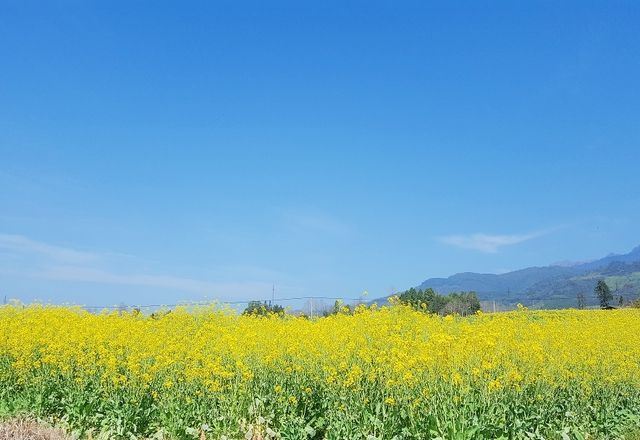 高黎贡山国家级自然保护区