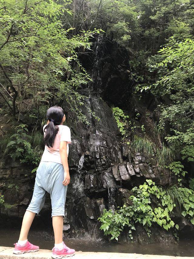 九龙山国家森林公园