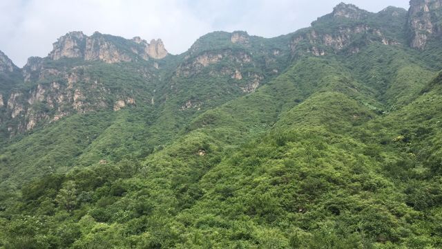 云蒙山皇家森林公园
