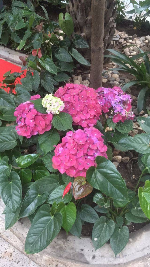 宗裕金汤水世界