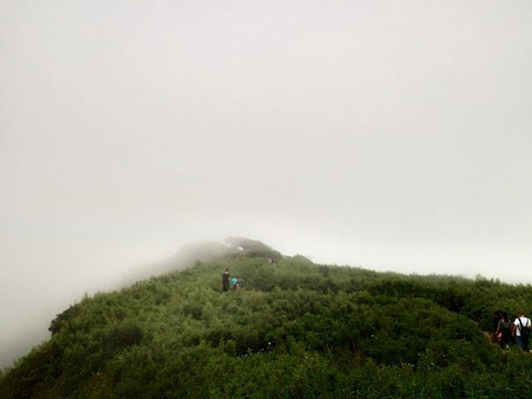 神农顶风景区旅游景点攻略图