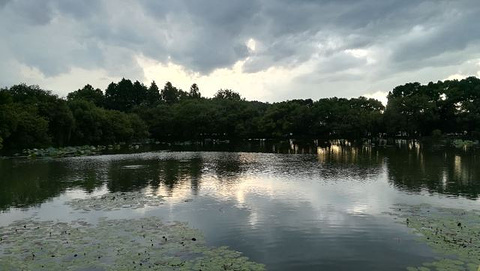 三潭印月旅游景点攻略图