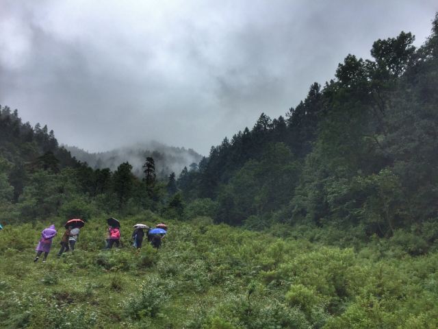 滇金丝猴国家公园