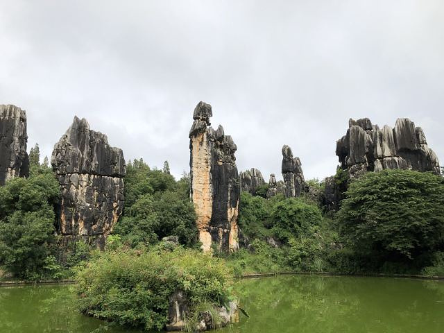 "_石林风景区"的评论图片