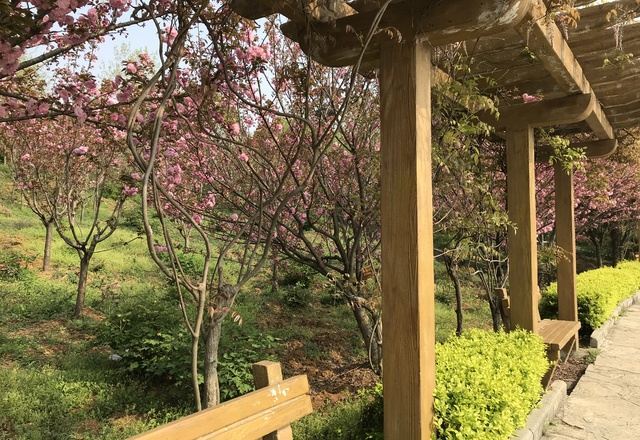 襄阳黄家湾景区