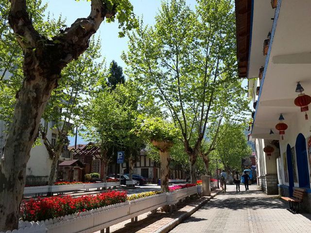 东黄山旅游度假区