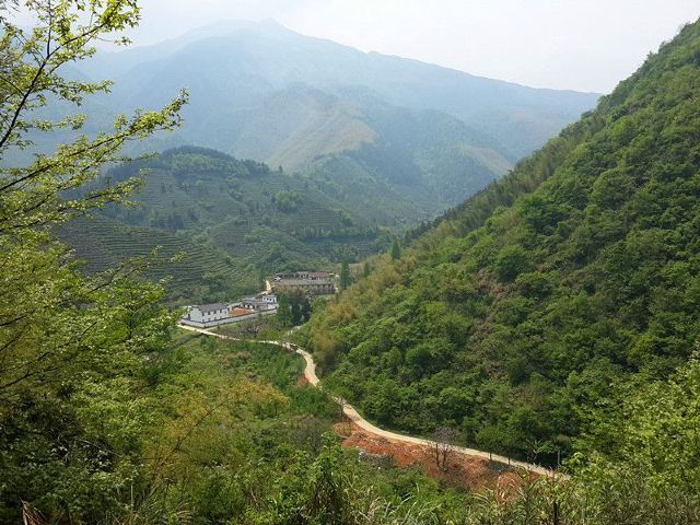 东黄山旅游度假区