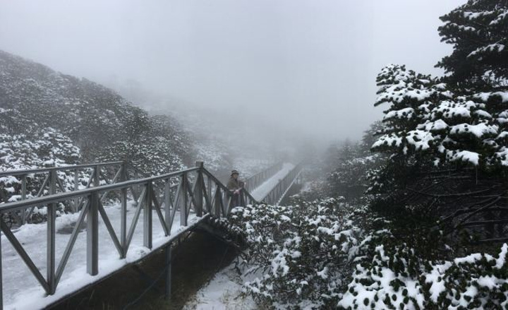 "_洗马潭大索道"的评论图片