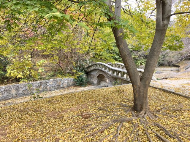 冠世榴园旅游度假区