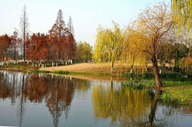 玄武湖公园-玄武湖情侣园