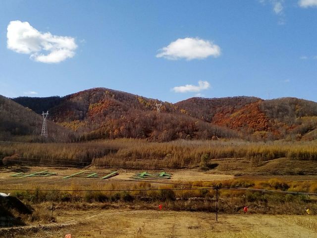 御道口草原森林风景区